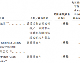 智云健康去年调整净亏