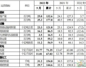 中国神华：5月煤炭销