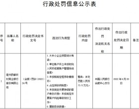 亳州药都农商行六宗违