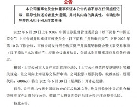 皖维高新关联收购获得