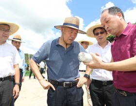 雷鸣山调研三峡集团海