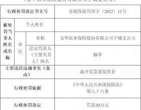 安华农险宁城支公司违