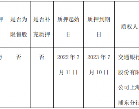 大众公用：控股股东质