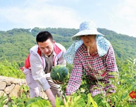 宁海电厂爱心认购西瓜