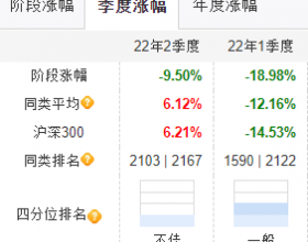 汇安丰裕上半年跌26.7