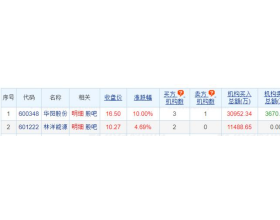 林洋能源龙虎榜：3个