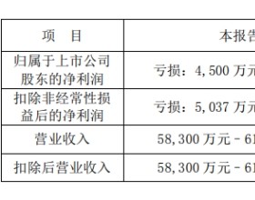 首都在线上半年预亏 