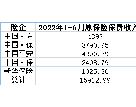 5大险企上半年保费共