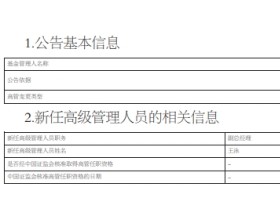 王泳任九泰基金副总经