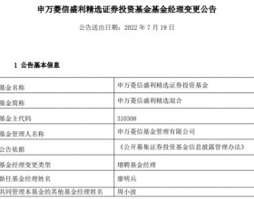 申万菱信盛利精选混合