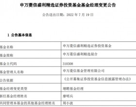 申万菱信盛利精选混合