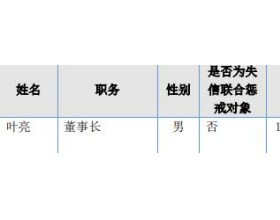 恒源科技及董事长叶亮