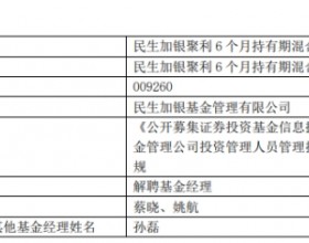 蔡晓姚航离任民生加银