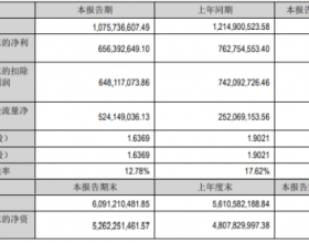 安宁股份2022年上半年