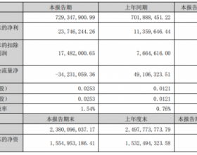 北玻股份上半年净利润