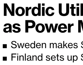 瑞典和芬兰政府提供紧
