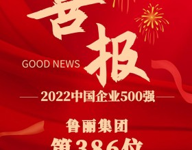 喜报！鲁丽集团位列20