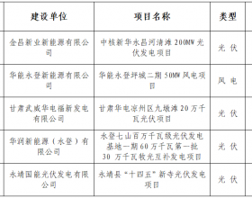 甘肃能源监管办：5个