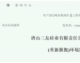 重新报批！三友20万吨