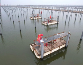 中石油最大水面光伏项