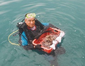 水下"种"珊瑚!海南三