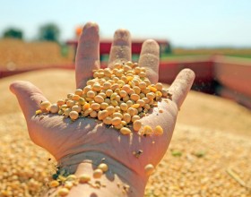 豆粕：USDA报告意外下
