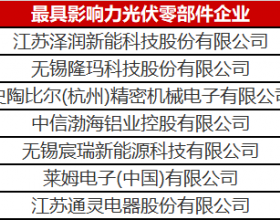  看到这几家光伏零部件才知道，什么叫把事干成事业了！