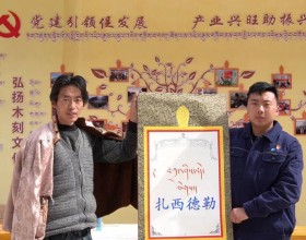 华电西藏驻村党支部：