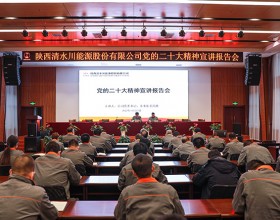 清水川能源公司：学习