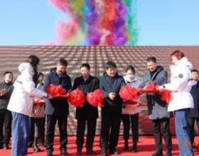  黑龙江伊春市污水处理厂分布式光伏电站竣工 年供电200万度