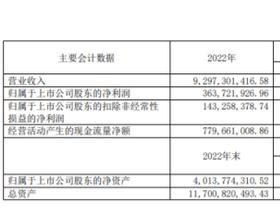 宁波能源2022年营收92