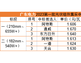  双面655W+1.606元/瓦，阿特斯预中标广东电力330MW组件集采