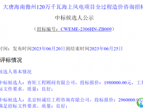  大唐海南儋州1200MW海上风电项目中标候选人公示