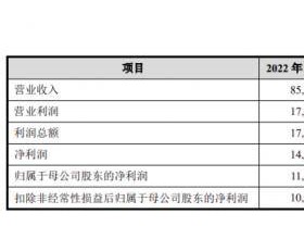 新华水电终止上市!