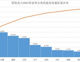 国电电力的火电发电量