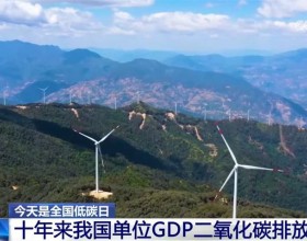 我国碳达峰、碳中和政