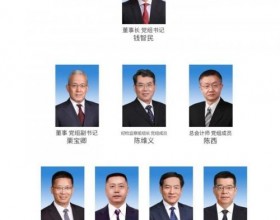 国家电投: 刘丰任副总