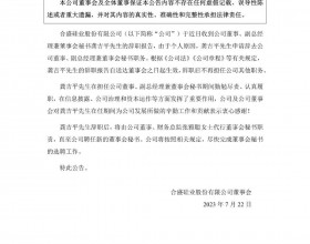  合盛硅业龚吉平申请辞去公司董事、副总经理兼董事会秘书职务