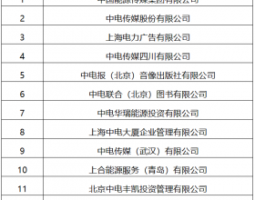 22家！国家能源局全级