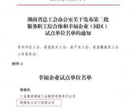  陕煤石电公司获评“湖南省幸福企业试点单位”